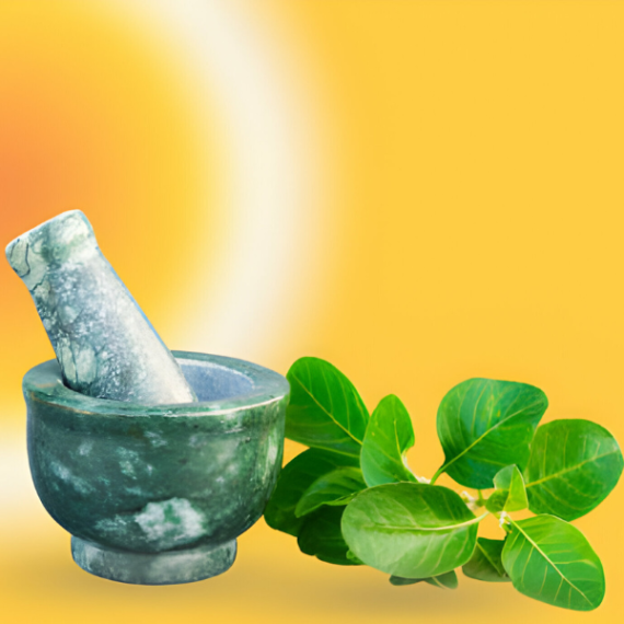 Ayurveda Today: Rediscovering Ancient Wisdom for Modern Wellness